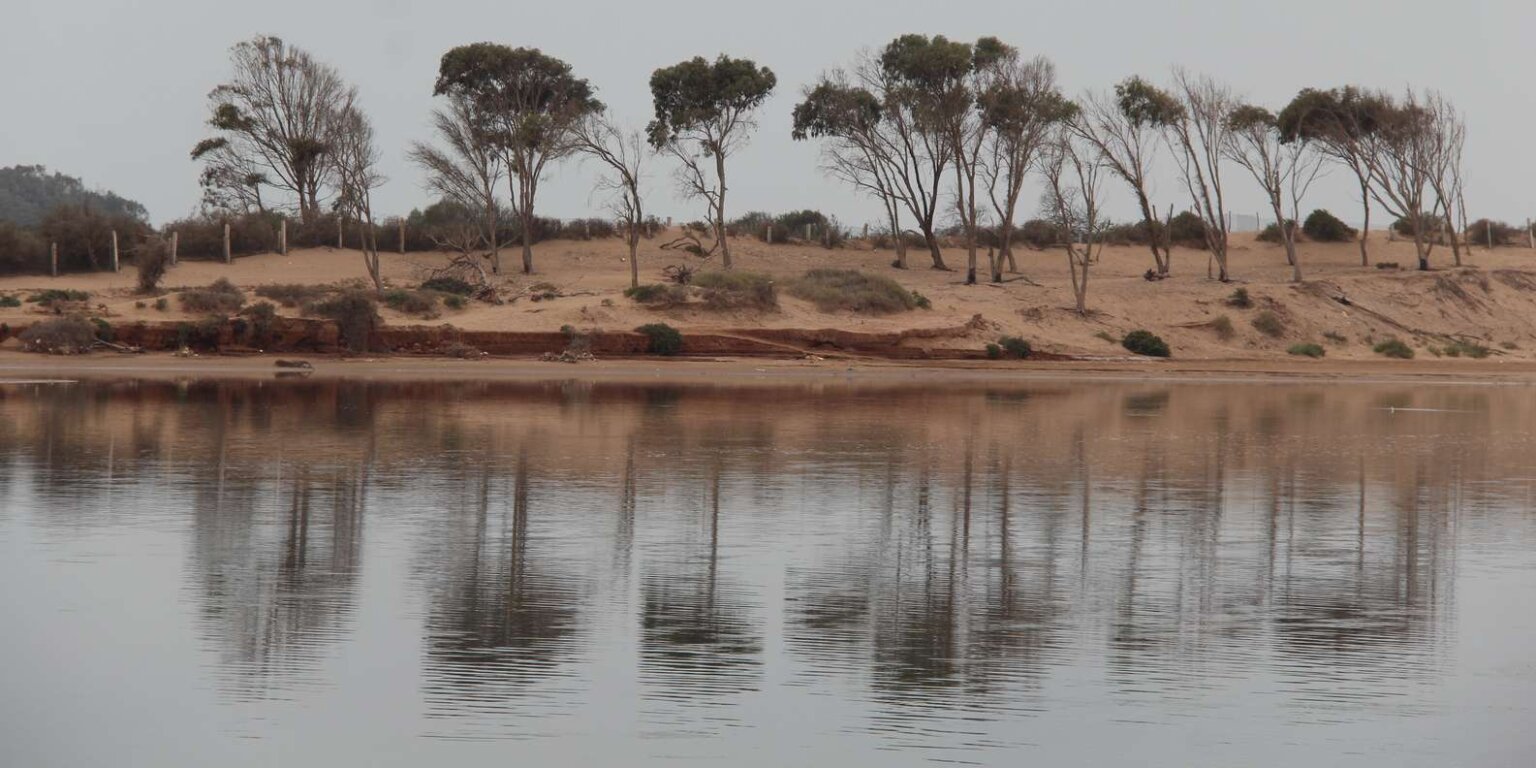 Balade à dos de dromadaire à Agadir - Moment de détente