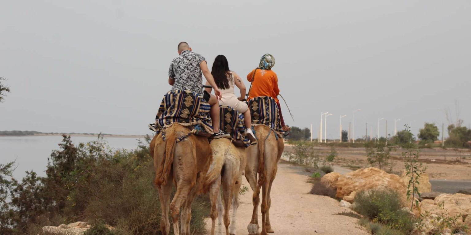 Balade à dos de dromadaire à Agadir - Vue panoramique