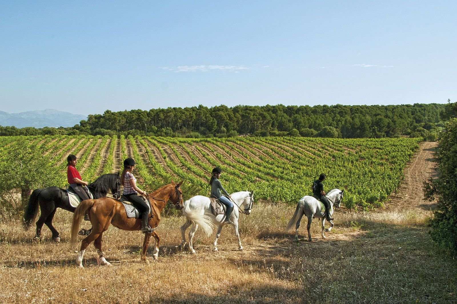 Balade à dos de cheval à Agadir - Moment inoubliable