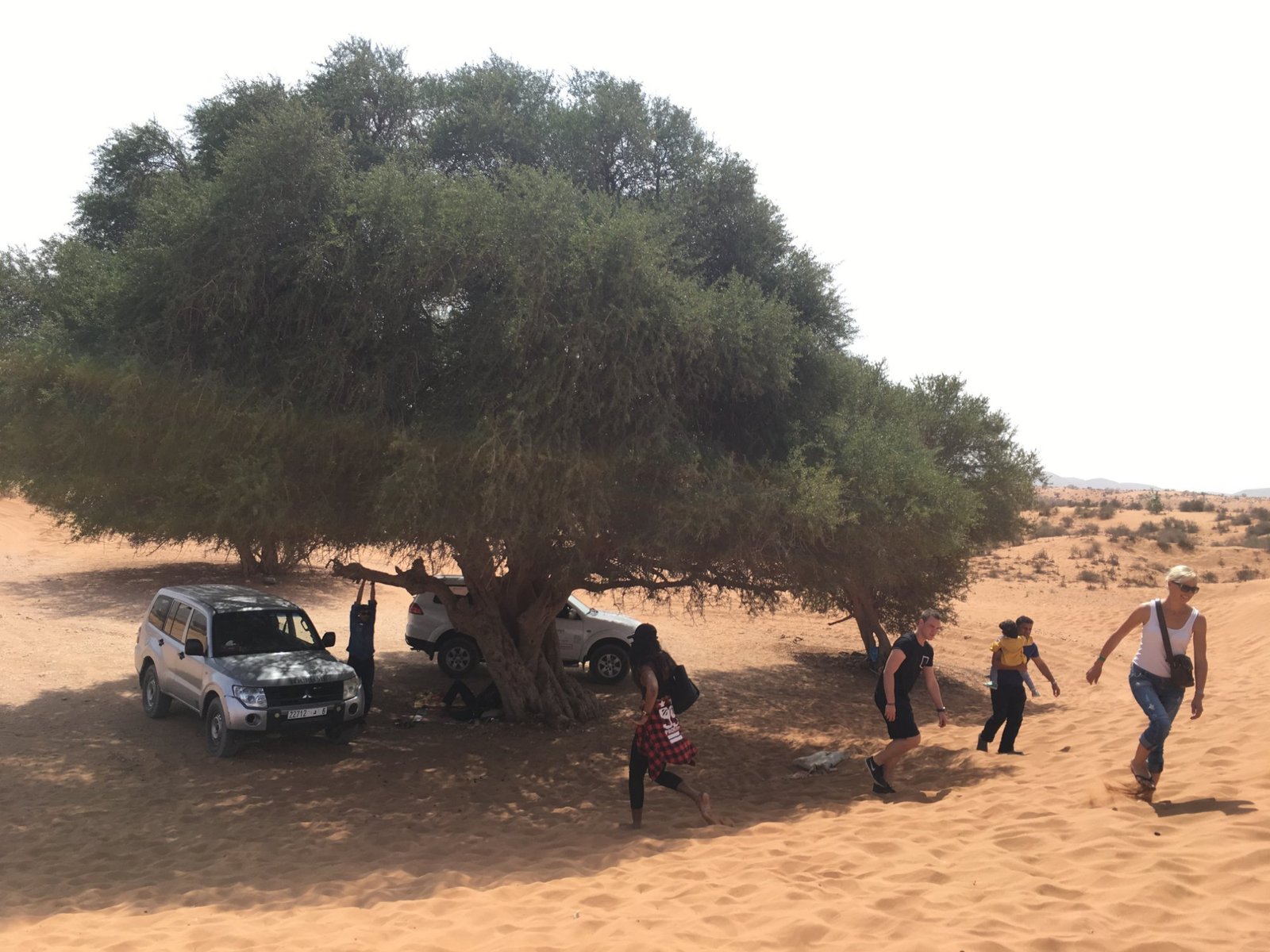 Agadir Mini Sahara en véhicule 4*4 - Véhicule 4x4 dans les dunes