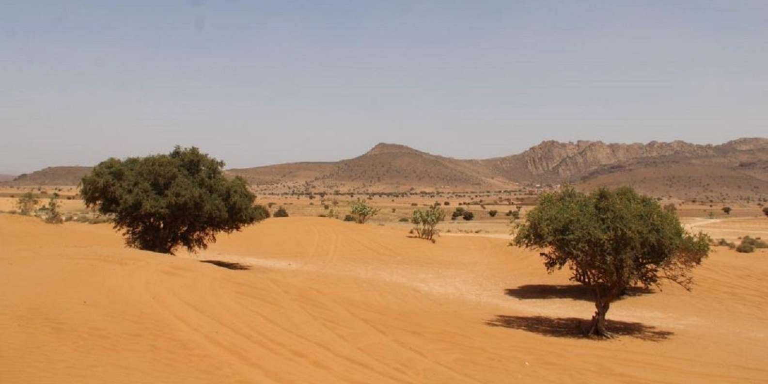 Agadir Mini Sahara en véhicule 4*4 - Paysages du désert